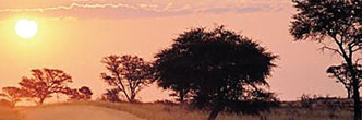 conferences north west province