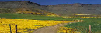conferences northern cape south africa