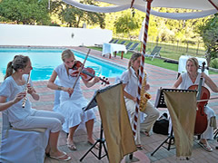 Western cape Conference Venues
