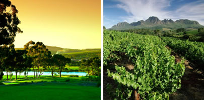 Stellenbosch conference venues
