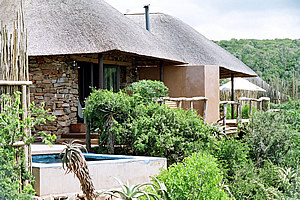 Port Elizabeth conference venues