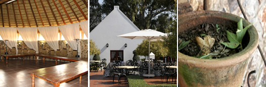 Irene conference venues
