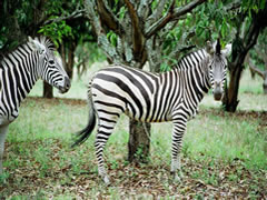 South African Conference Venues