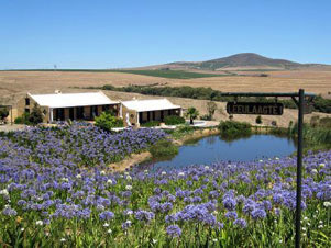 Conference Venues Dubranville