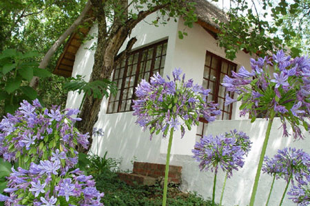 Kameeldrift conference venues
