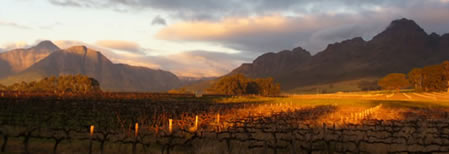 Stellenbosch conference venues
