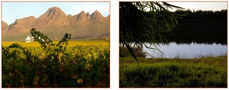 Stellenbosch conference venues
