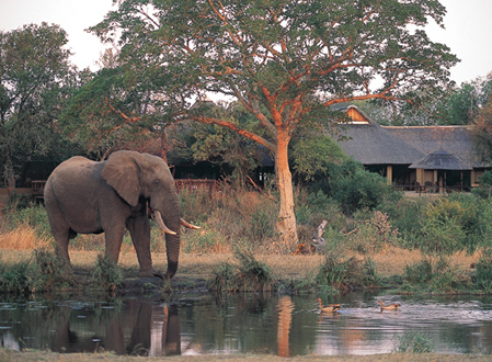 Sabi Sabi Private Game Reserve Conferencing