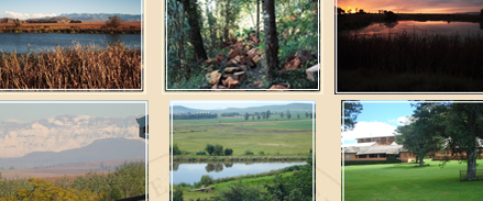 Bergville conference venues