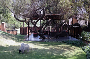 Pretoria conference venues