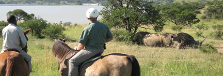 Spioenkop Dam conference venues