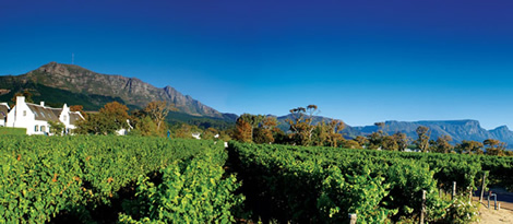 Cape Town conference venues