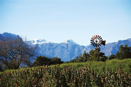 Stellenbosch conference venues