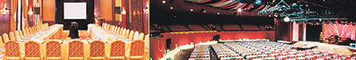 Sun City conference venues