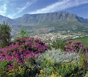 Table Mountain Eco Tourism