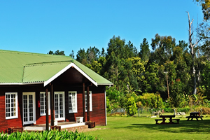 Tsitsikamma conference venues