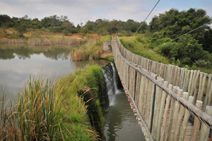 Tzaneen conference venues