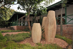 Tzaneen conference venues