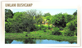 Timbavati conference venues