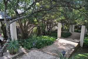 Dullstroom conference venues