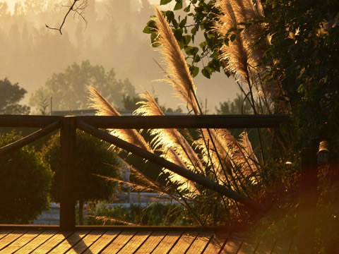 Muldersdrift conference venues