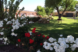Wagon Wheel Conference Venue Beaufort West