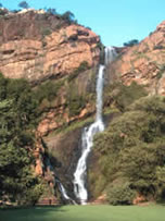 Walter Sisulu Botanical Gardens