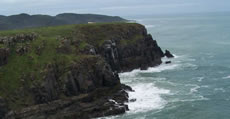 Wild Coast