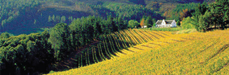 conferences western cape south africa