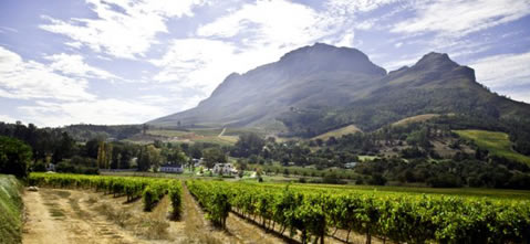 Stellenbosch conference venues
