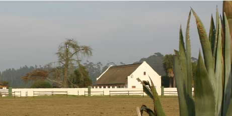 South African Conference Venues