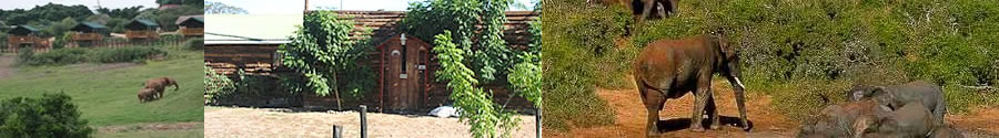 conference centres Addo