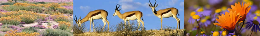 conference centres northern cape