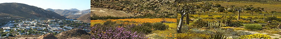 conference centres Springbok
